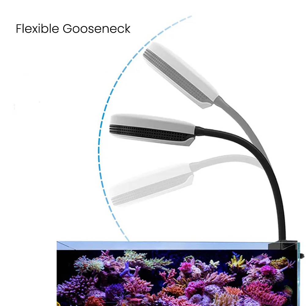 Spectra SP20 20W Aquarium LED- - Marine Aquarium Led Lights recensie en prijs