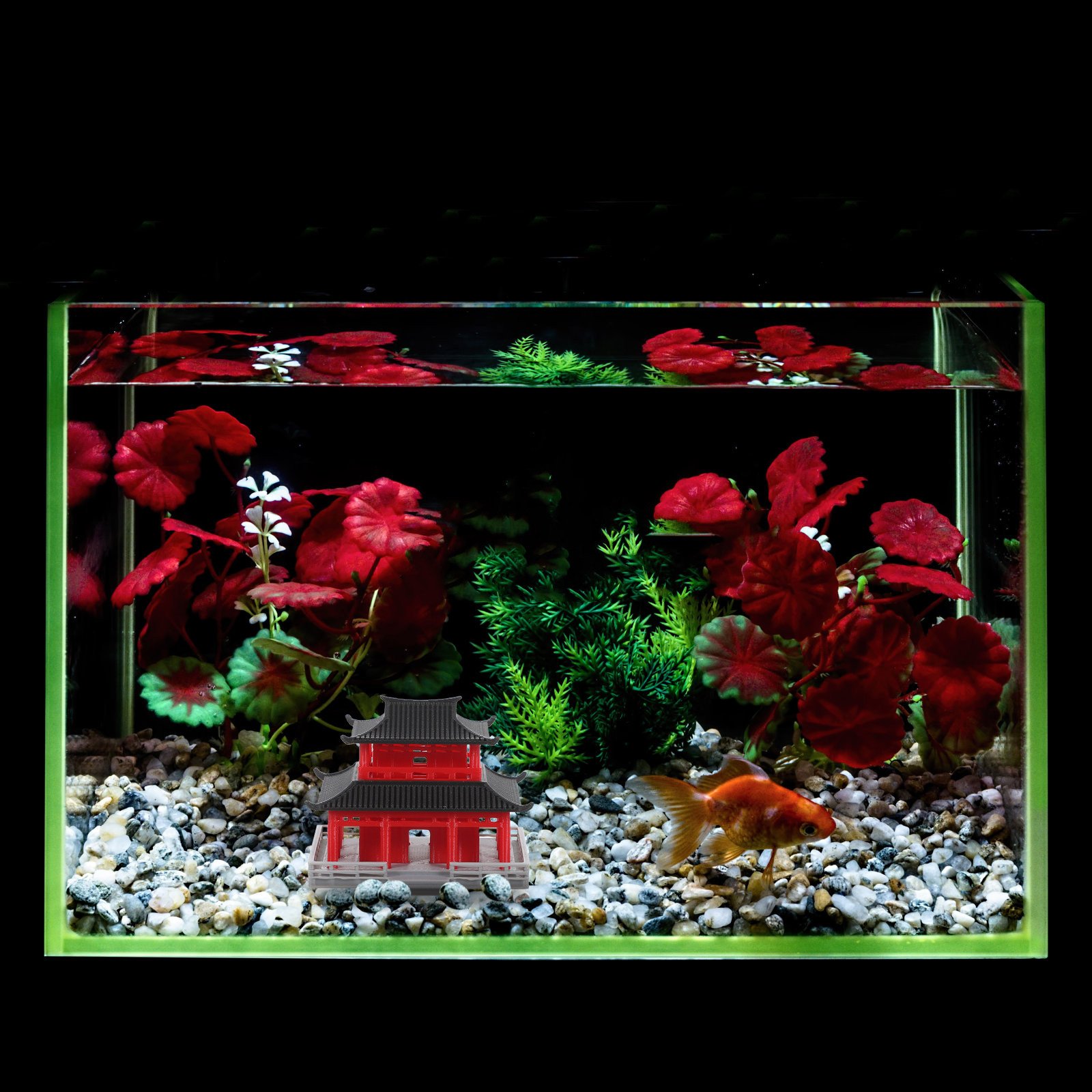Mini Paviljoen Pagode Chinese  - Aquarium & Marine Museum Universiti Malaysia Sabah Kota Kinabalu Sabah Reviews recensie en prijs