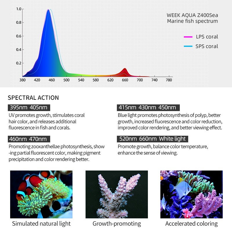 ZXY Hot Koop WEEKAQUA Z250 Z40 - Marine Aquarium Led Lights recensie en prijs