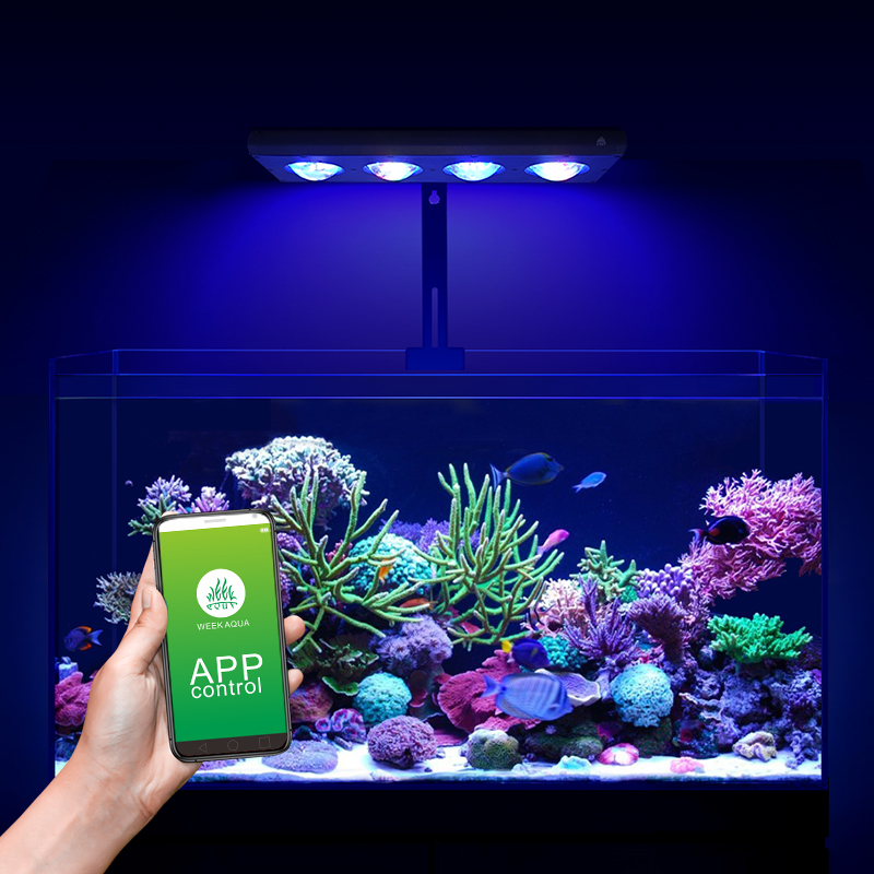 ZXY Hot Koop WEEKAQUA Z250 Z40 - Marine Aquarium Led Lights recensie en prijs